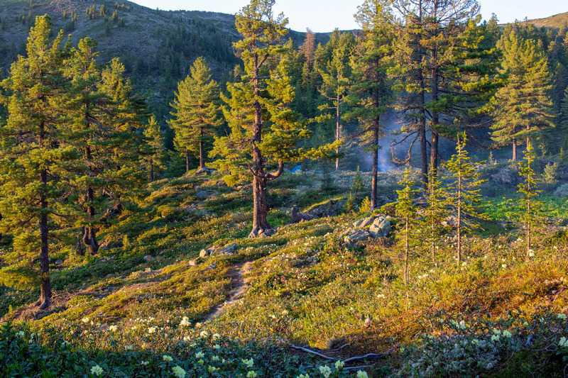 Отчет о походе на Хамар-Дабан