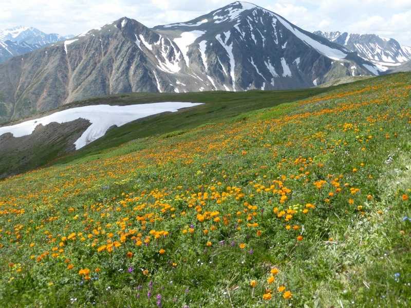 Поход в Долину вулканов по Восточному Саяну