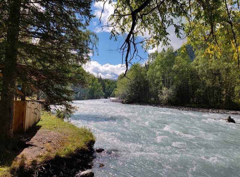 Поход к подножию Белухи (всё включено)