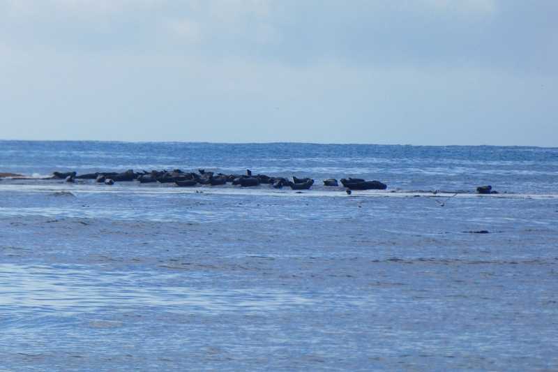 Поход на Курильские острова Кунашир