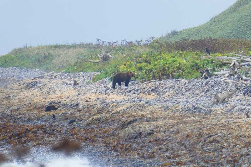 Отчет о походе на Курилы