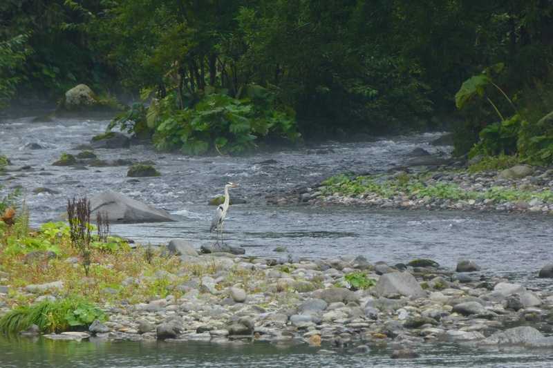 Отчет о походе на Курилы