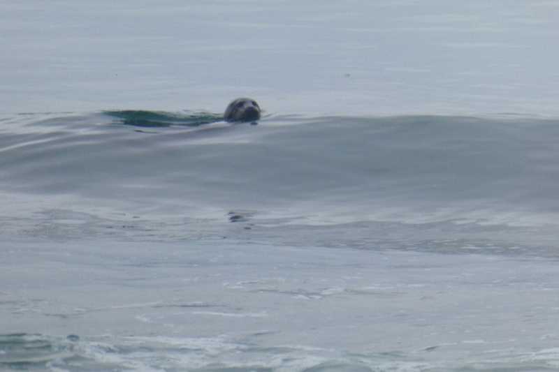 Отчет о походе на Курилы