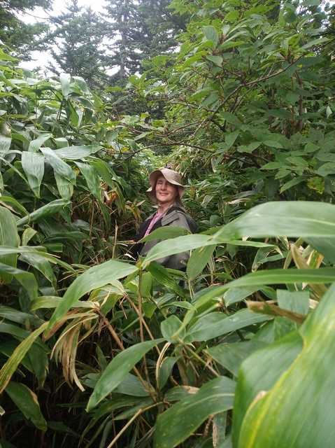 Отчет о походе на Курильские острова Кунашир