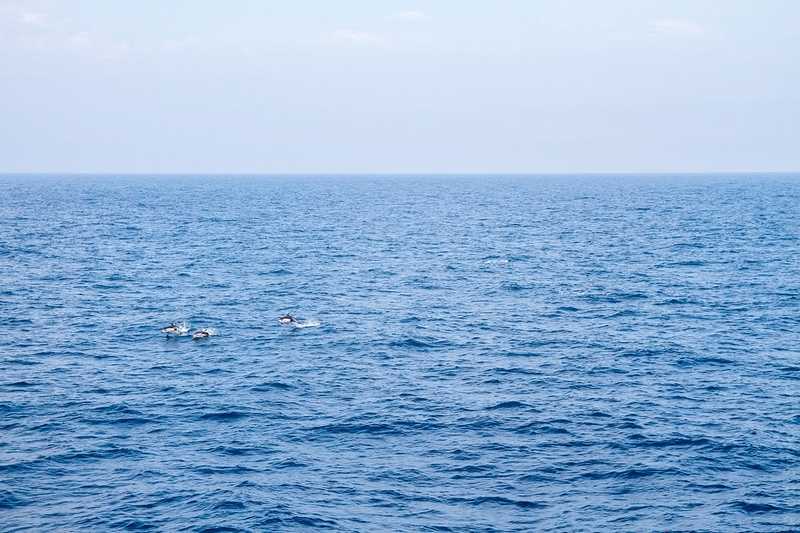 Поход на Курильские острова Итуруп и Шикотан