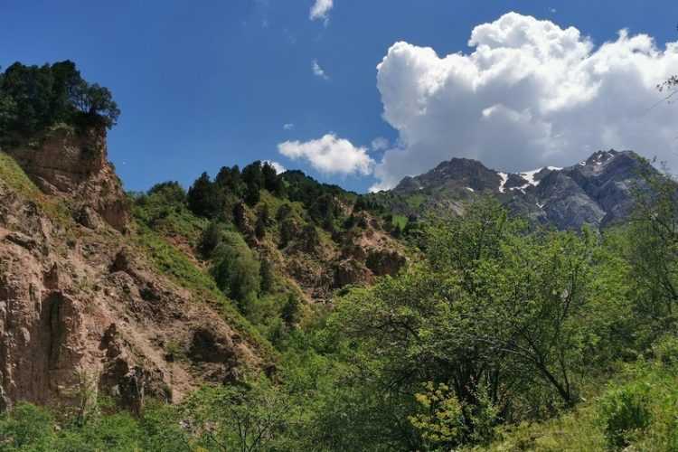 Поход в Чимганские горы