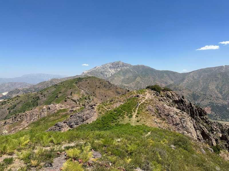 Поход в Чимганские горы