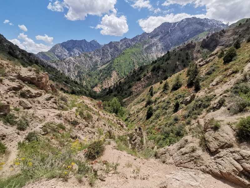 Поход в Чимганские горы