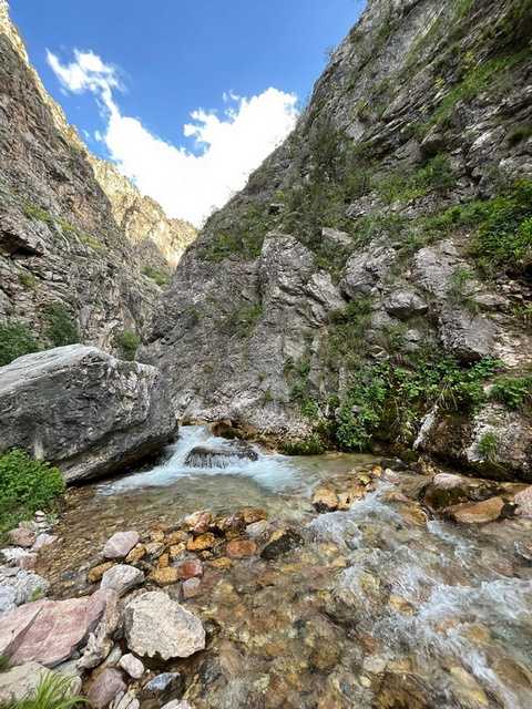 Поход в Чимганские горы в Узбекистане