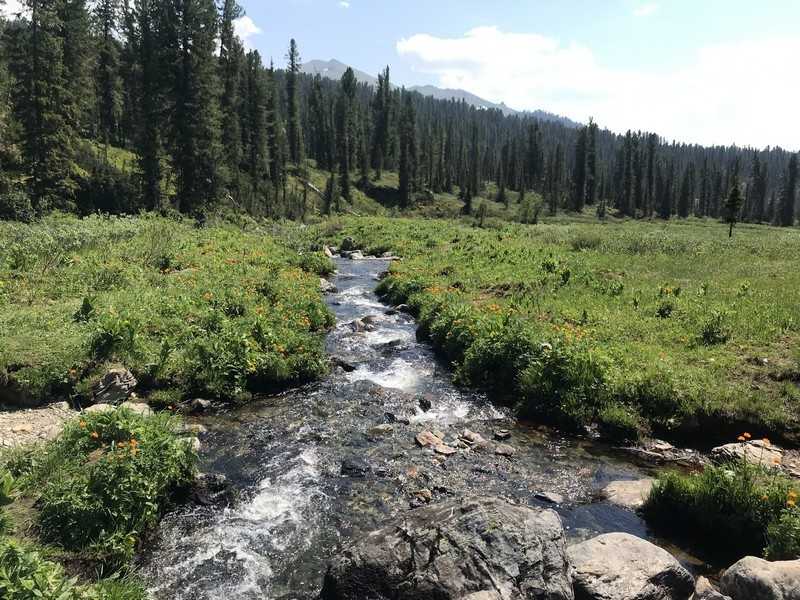 Отчет о походе в Ергаки "В краю грандиозных скал и гигантских