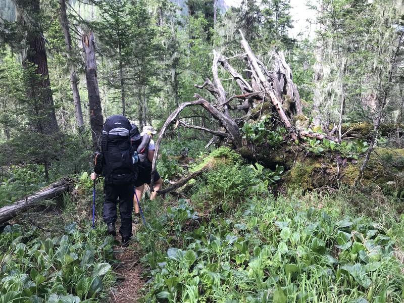 Авторский поход с Александром Кушнаревым