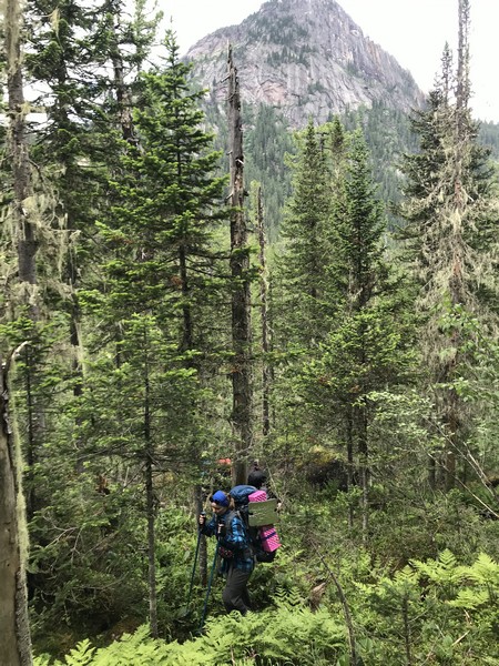 Отчет о походе в Ергаки "В краю грандиозных скал и гигантских водопадов"
