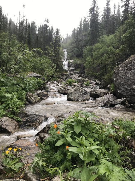Авторский поход с Александром Кушнаревым