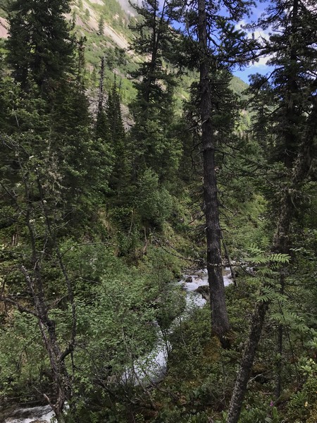 Отчет о походе в Ергаки "В краю грандиозных скал и гигантских водопадов"