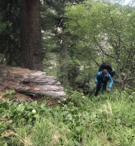 Отчет о походе Ергаки «В краю грандиозных скал и гигантских водопадов»