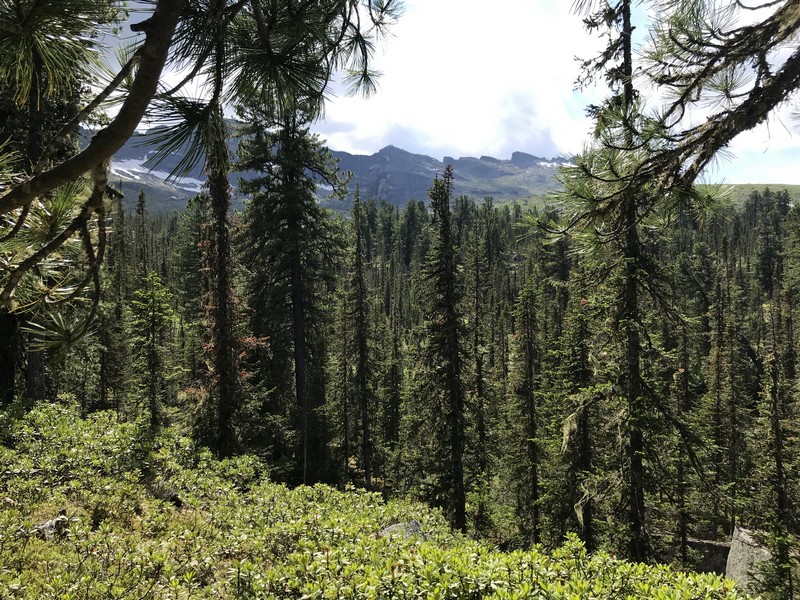 Отчет о походе Ергаки «В краю грандиозных скал и гигантских водопадов»