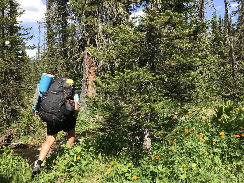 Отчет о походе в Ергаки "В краю грандиозных скал и гигантских водопадов"