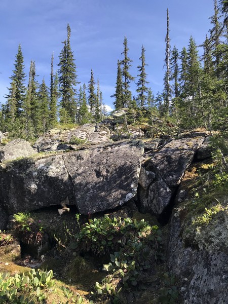 Отчет о походе в Ергаки "В краю грандиозных скал и гигантских водопадов"