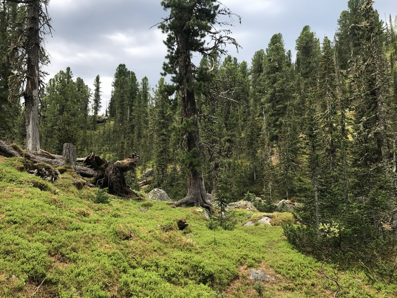 Отчет о походе в Ергаки "В краю грандиозных скал и гигантских водопадов"