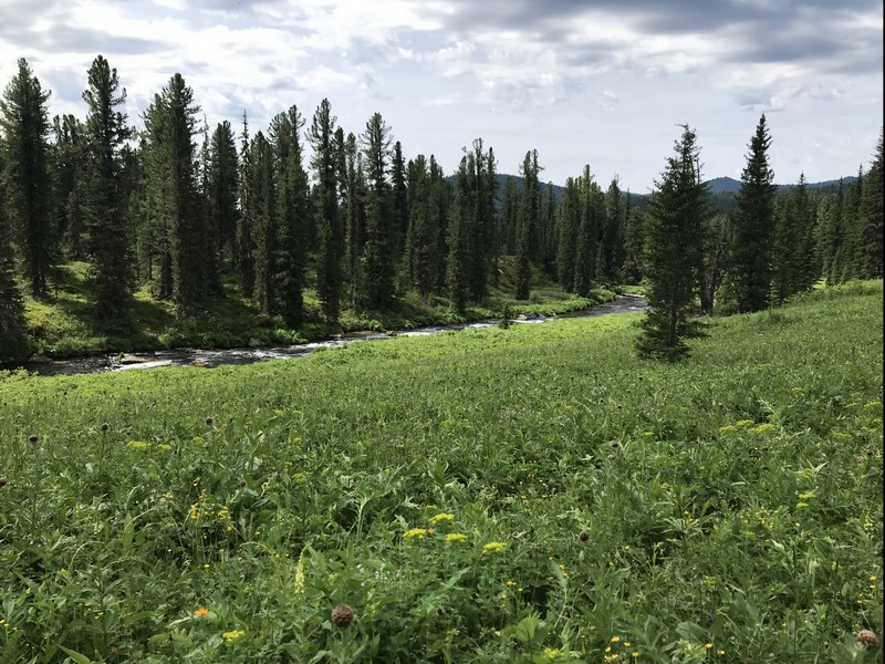 Саяны отзыв