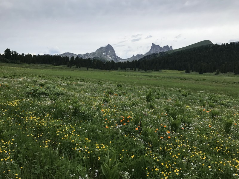Саяны отзыв