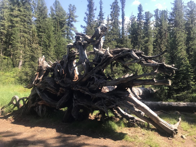 Отчет о походе в Ергаки "В краю грандиозных скал и гигантских водопадов"