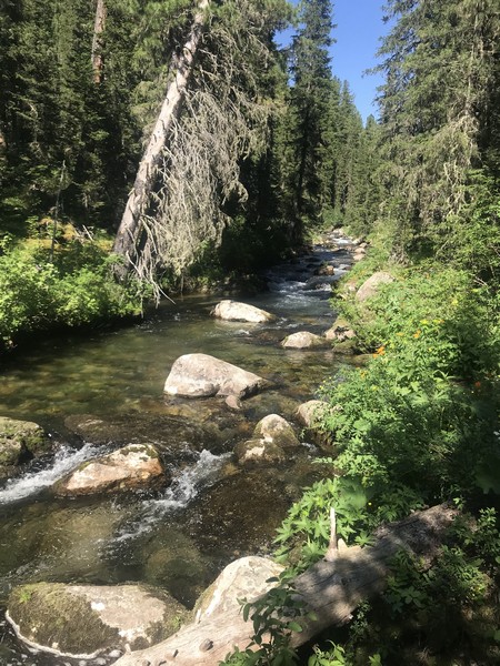 Отчет о походе в Ергаки "В краю грандиозных скал и гигантских водопадов"
