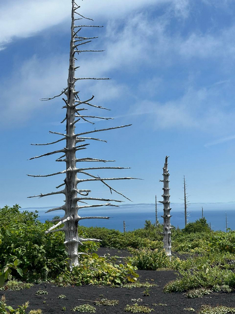 Вулкан Тятя