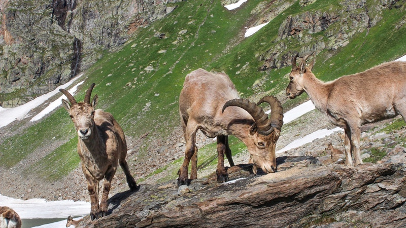 Поход на Имеретинские озера