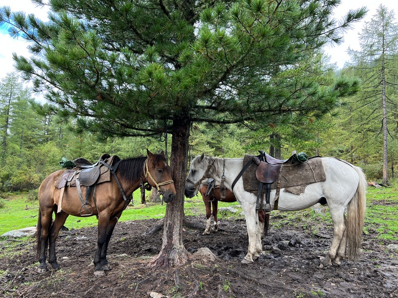 Поход на Шумак