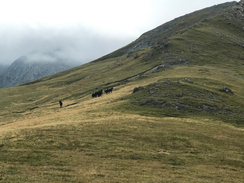 Отчет о походе по озерам Архыза на Кавказе