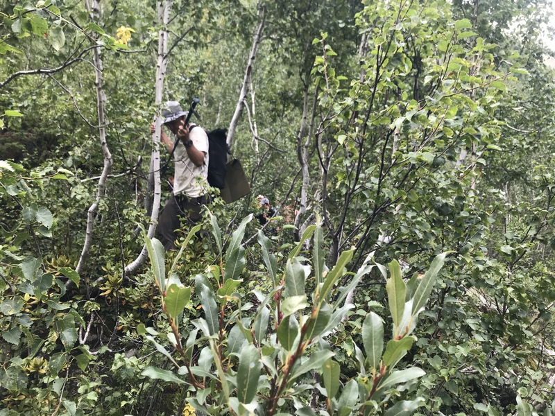 Отчет о походе по озерам Архыза на Кавказе