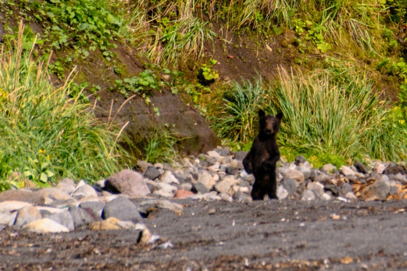 Отчет о походе на Курильский остров Кунашир