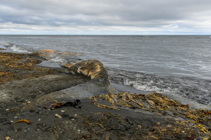 Отчет о походе на Курильский остров Кунашир