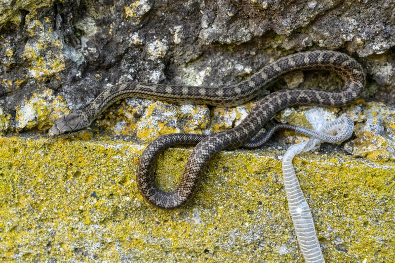 Отчет о походе на Курильский остров Кунашир