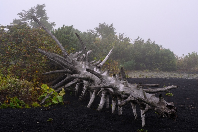восхождение на вулкан Тятя