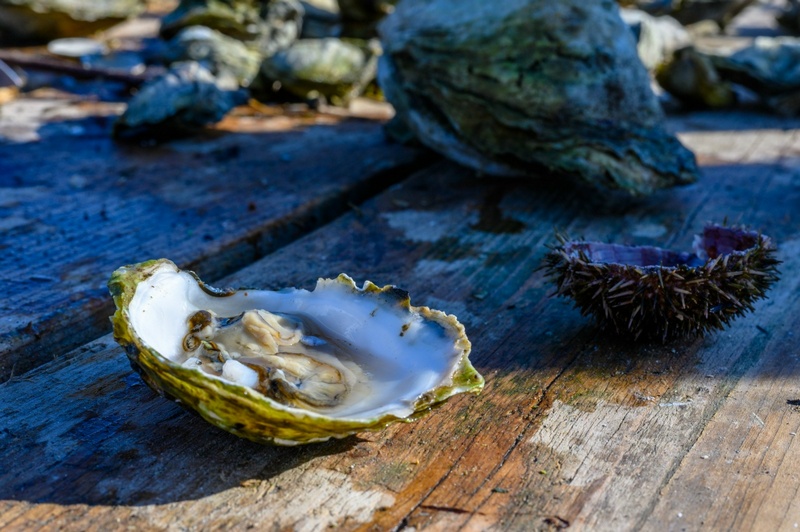 Отчет о походе на Курильский остров Кунашир