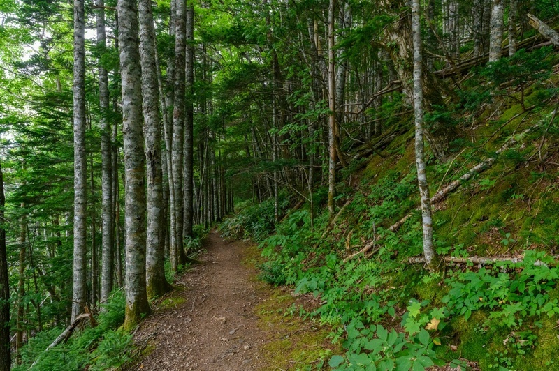Поход на Кунашир