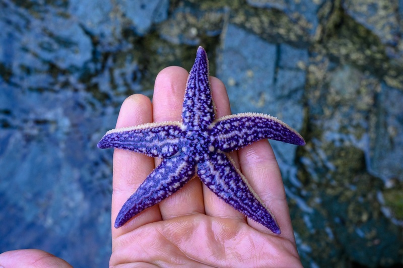 Отчет о походе на Курильский остров Кунашир