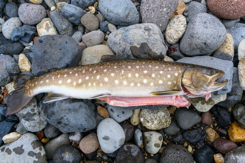 Отчет о походе на Курильский остров Кунашир