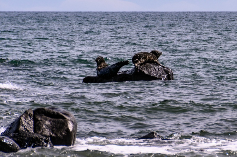 Отчет о походе на Курильский остров Кунашир