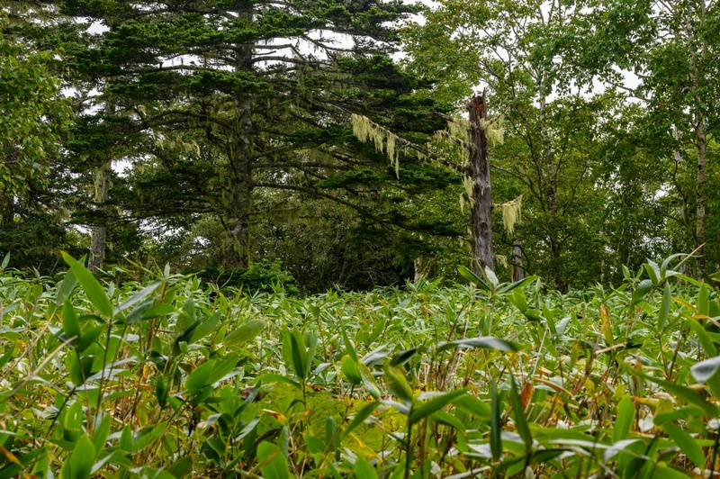 Отчет о походе на Курильский остров Кунашир