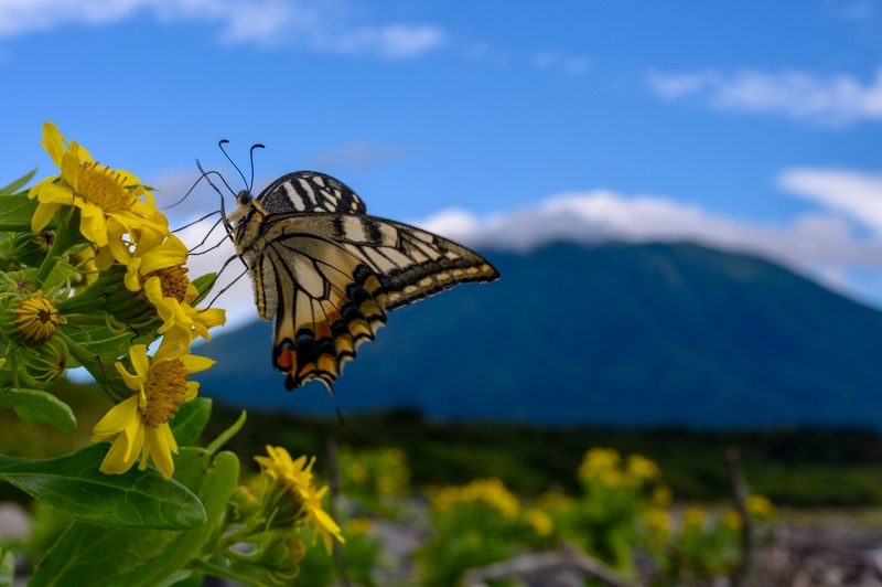 Отчет о походе на Курильский остров Кунашир