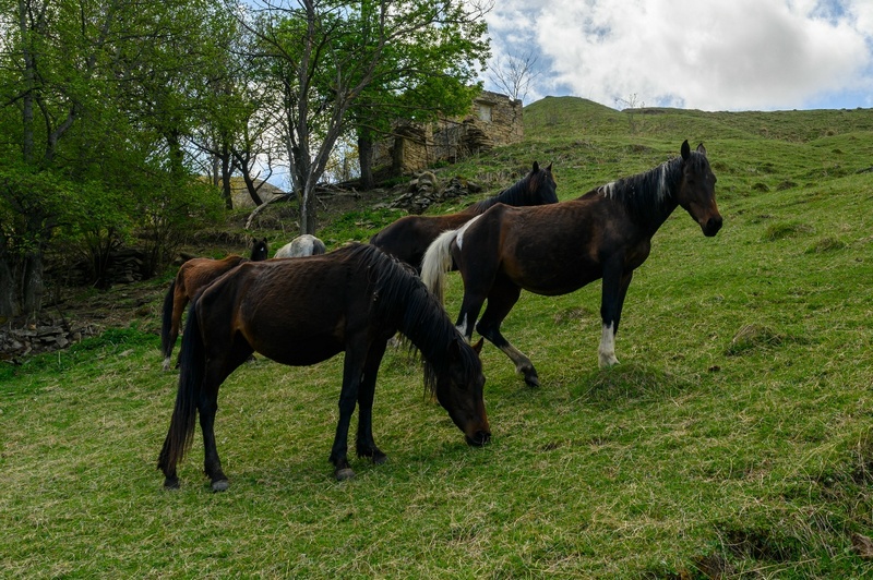 Походы по Дагестану
