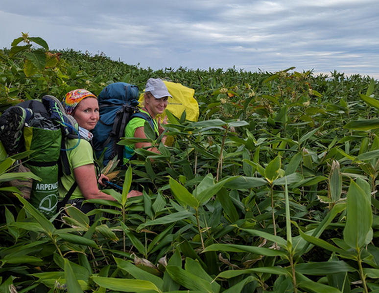 Отчет о походе на Кунашир - как все  происходит
