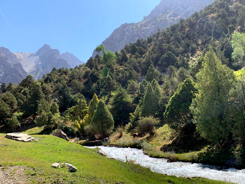 Поход в Фанские горы
