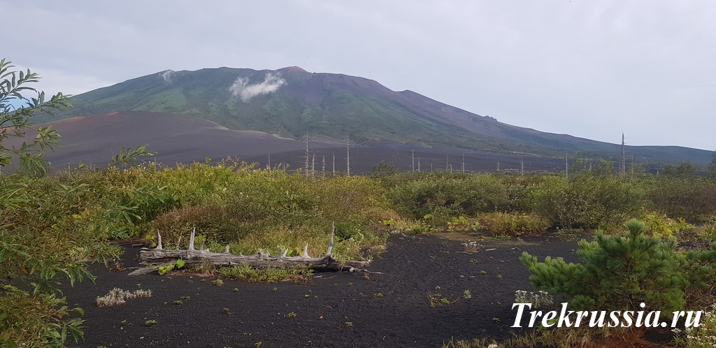 Отчет о походе на Кунашир - как всё происходит.