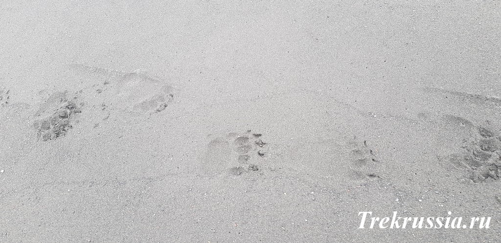 Отчет о походе на Кунашир - как всё происходит.