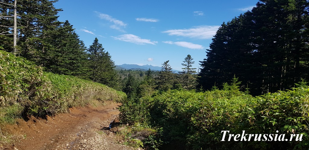 Отчет о походе на Кунашир - как всё происходит.